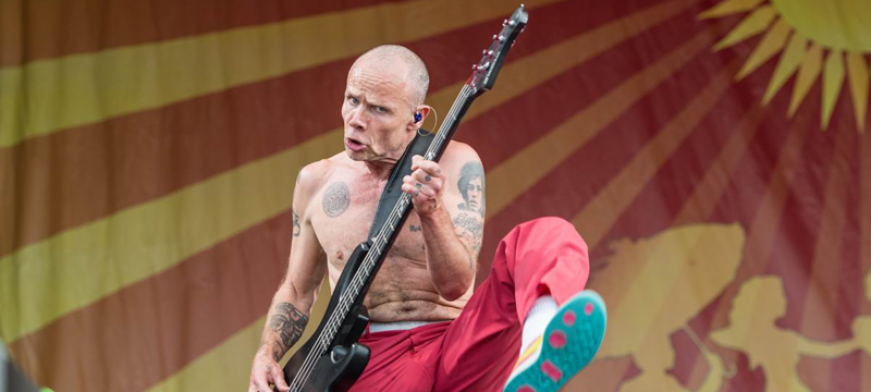 Red Hot Chili Peppers - Flea
